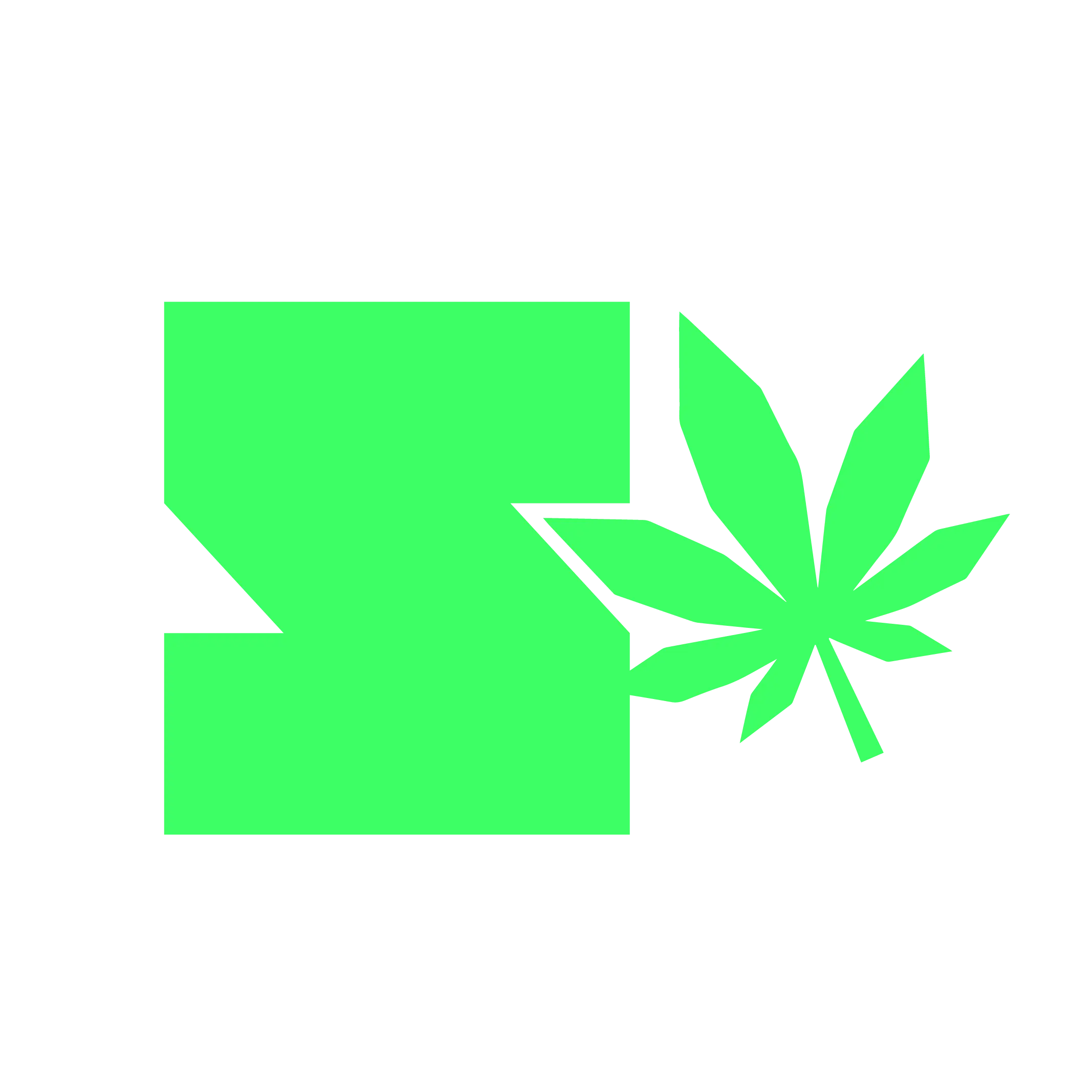 Shoptoncbd logo simplifié 2 (1)